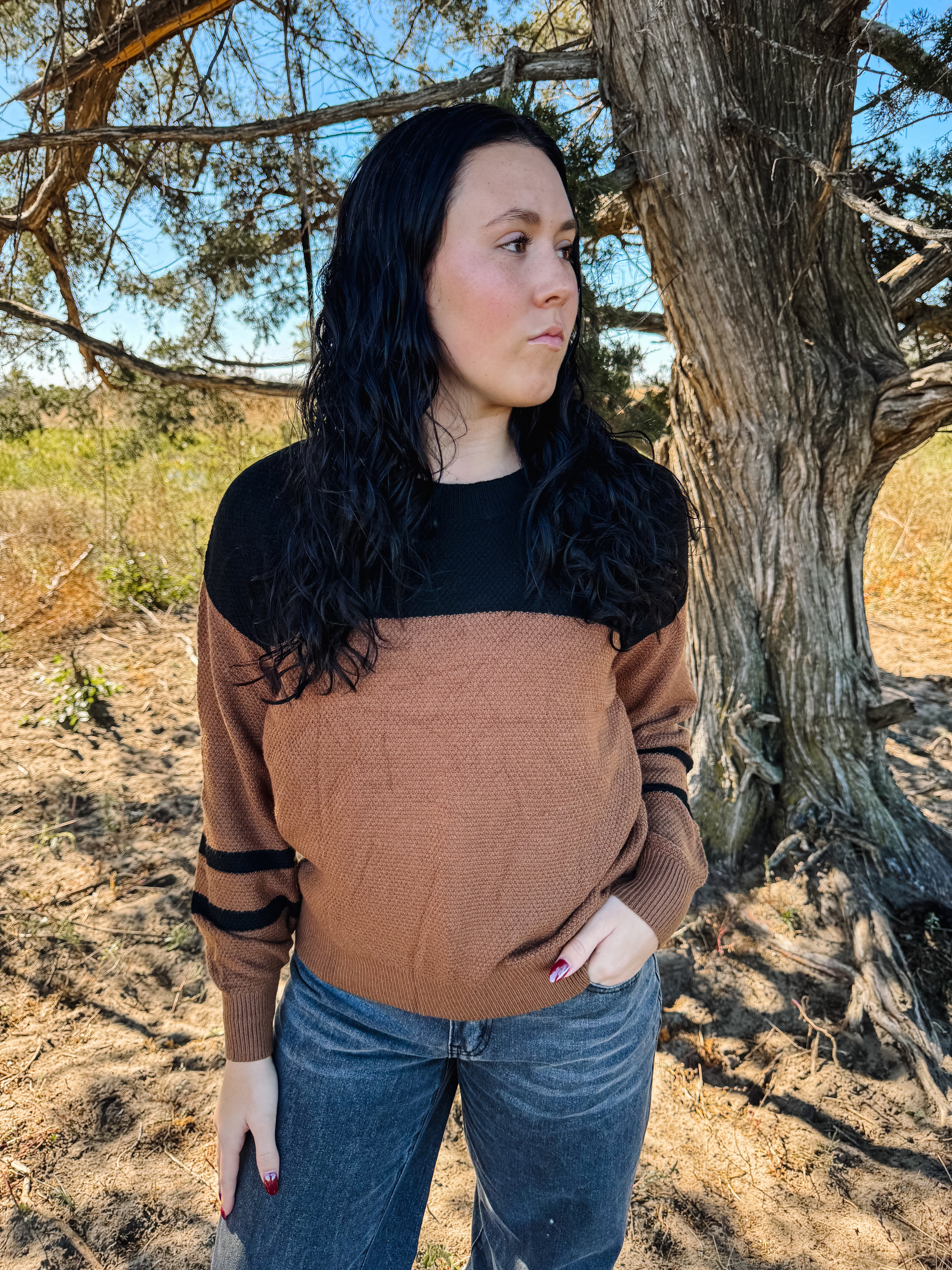 Dark Brown Colorblock Striped Sleeve Detail Sweater