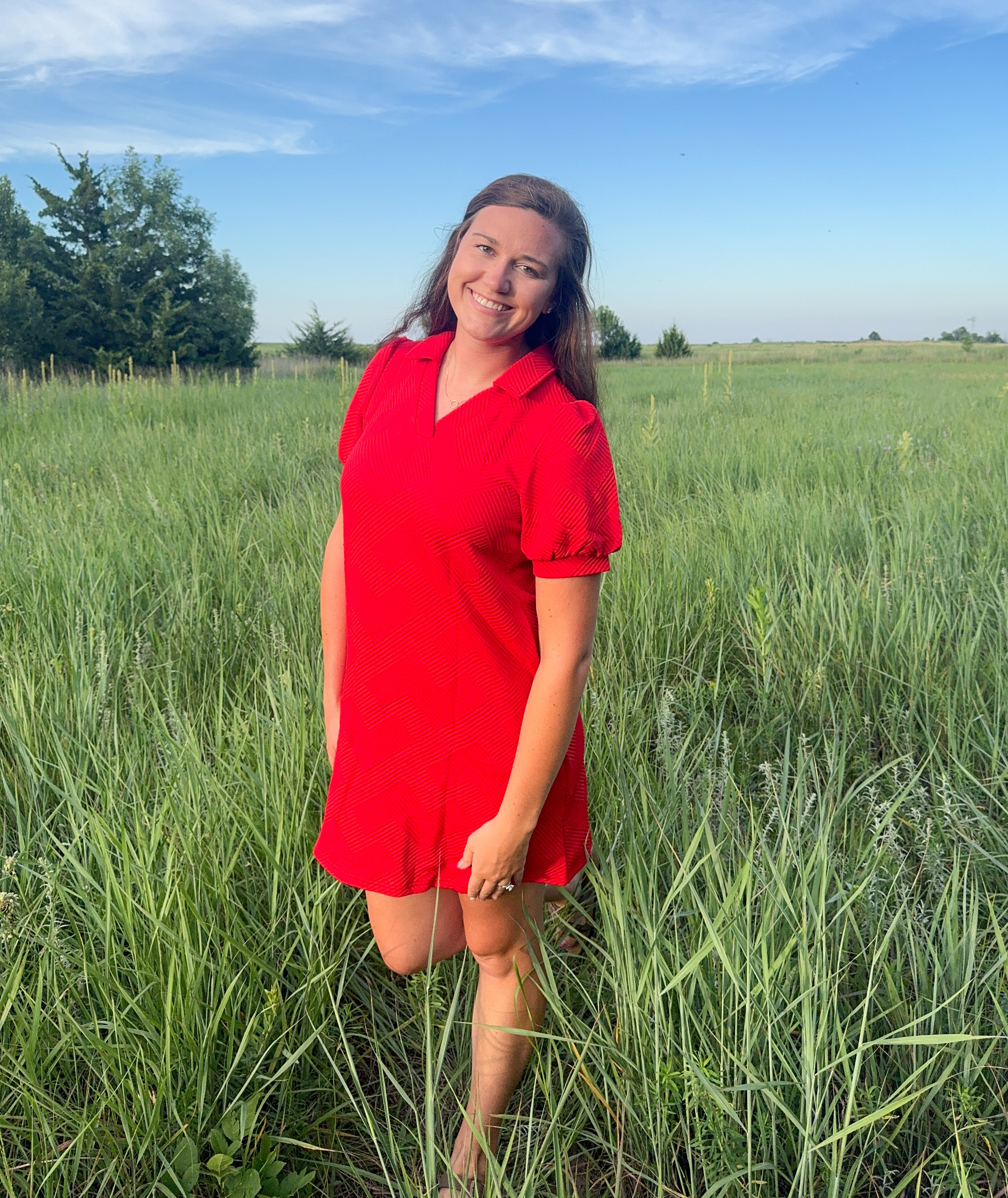Red V Neck Textured Dress