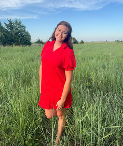 Red V Neck Textured Dress