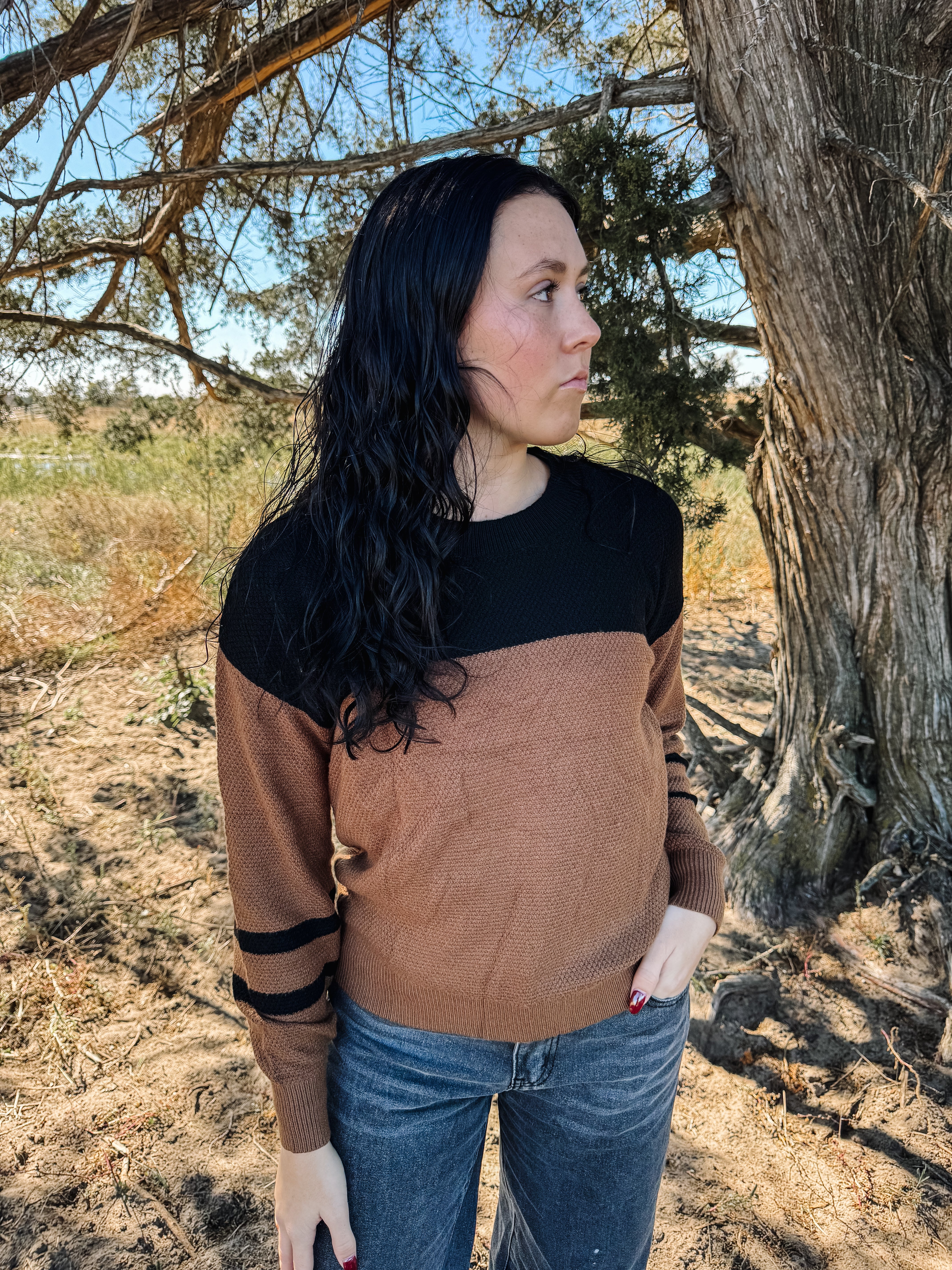 Dark Brown Colorblock Striped Sleeve Detail Sweater