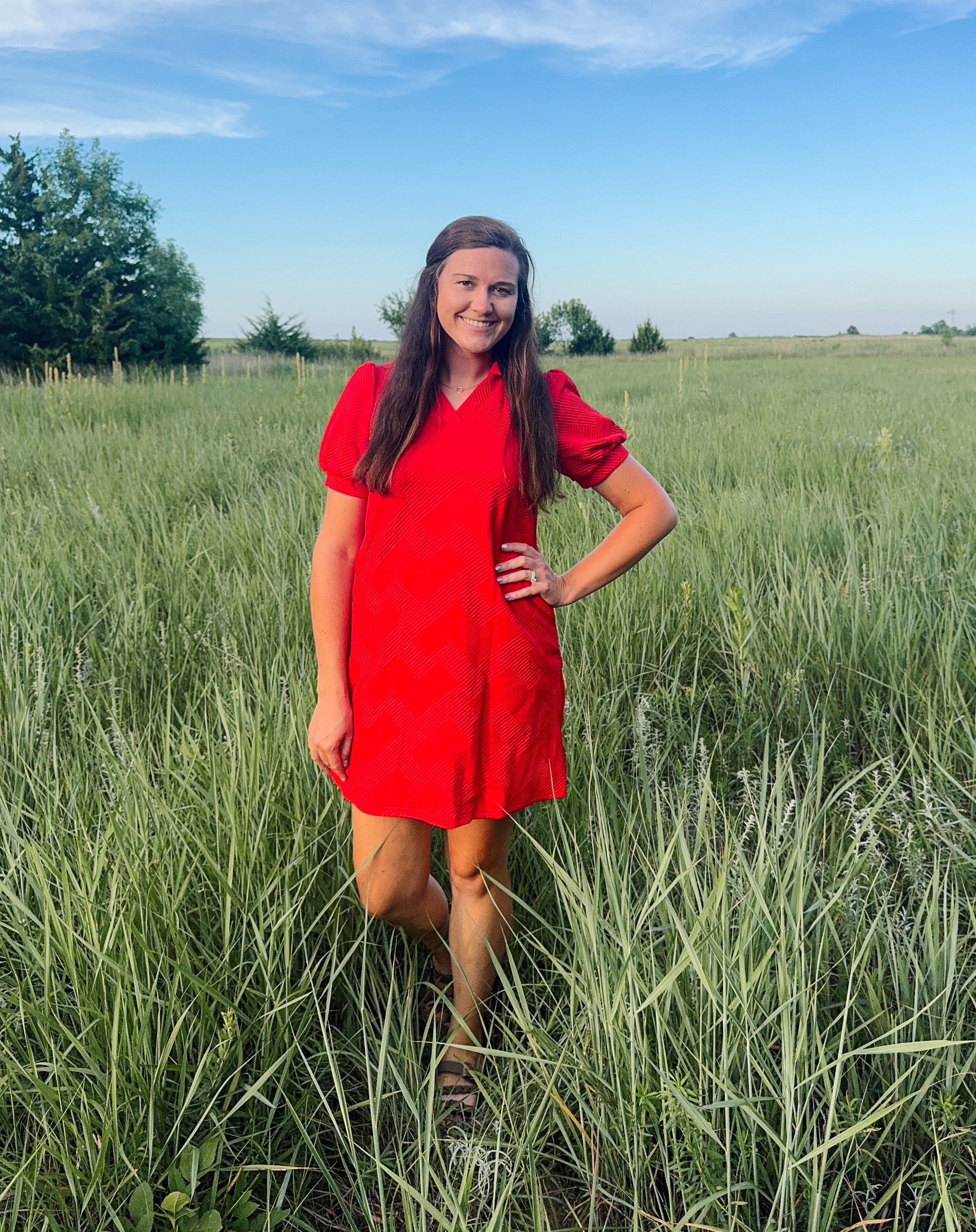 Red V Neck Textured Dress