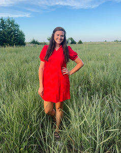 Red V Neck Textured Dress
