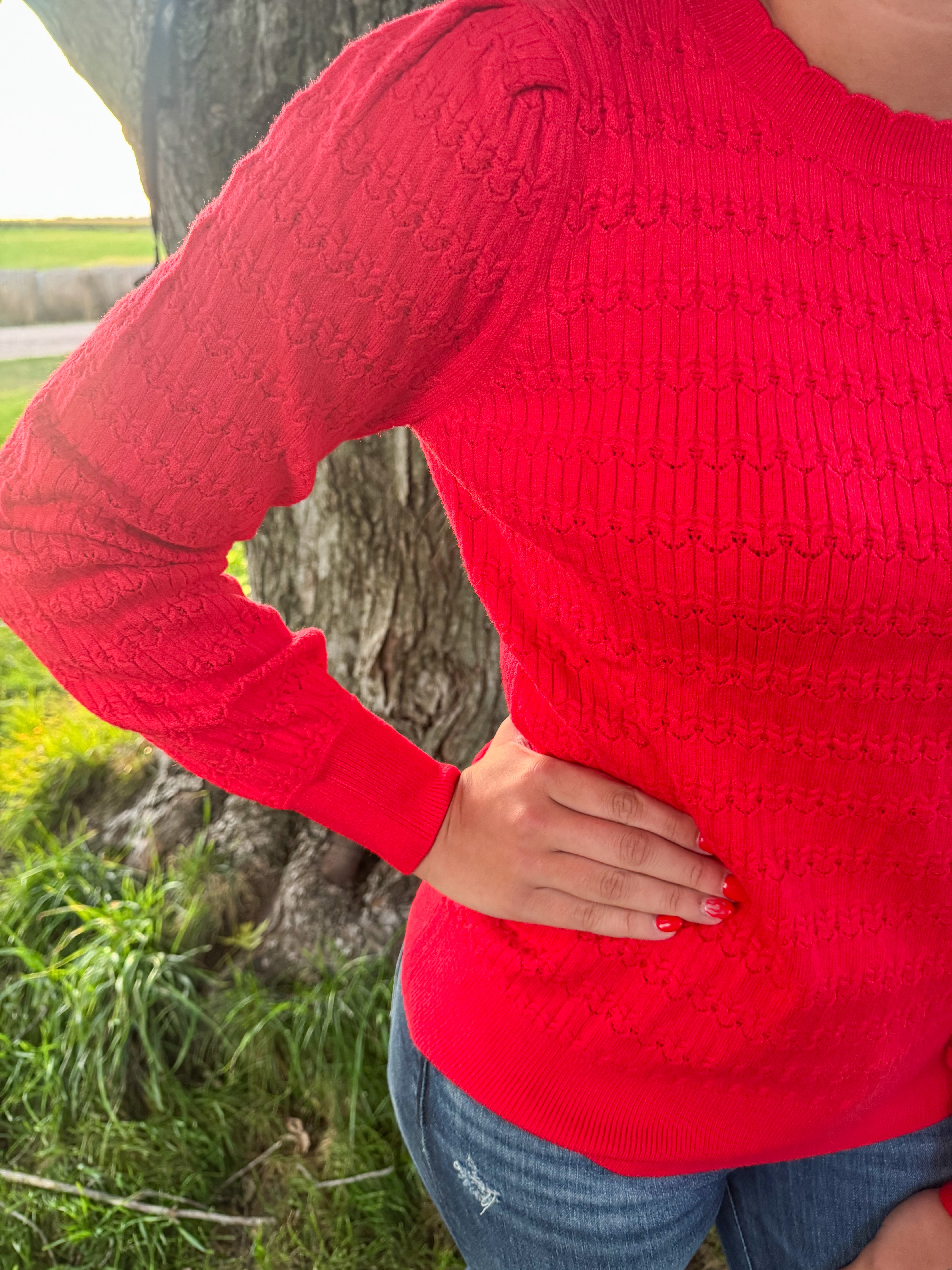 Fiery Red Ribbed Textured Sweater