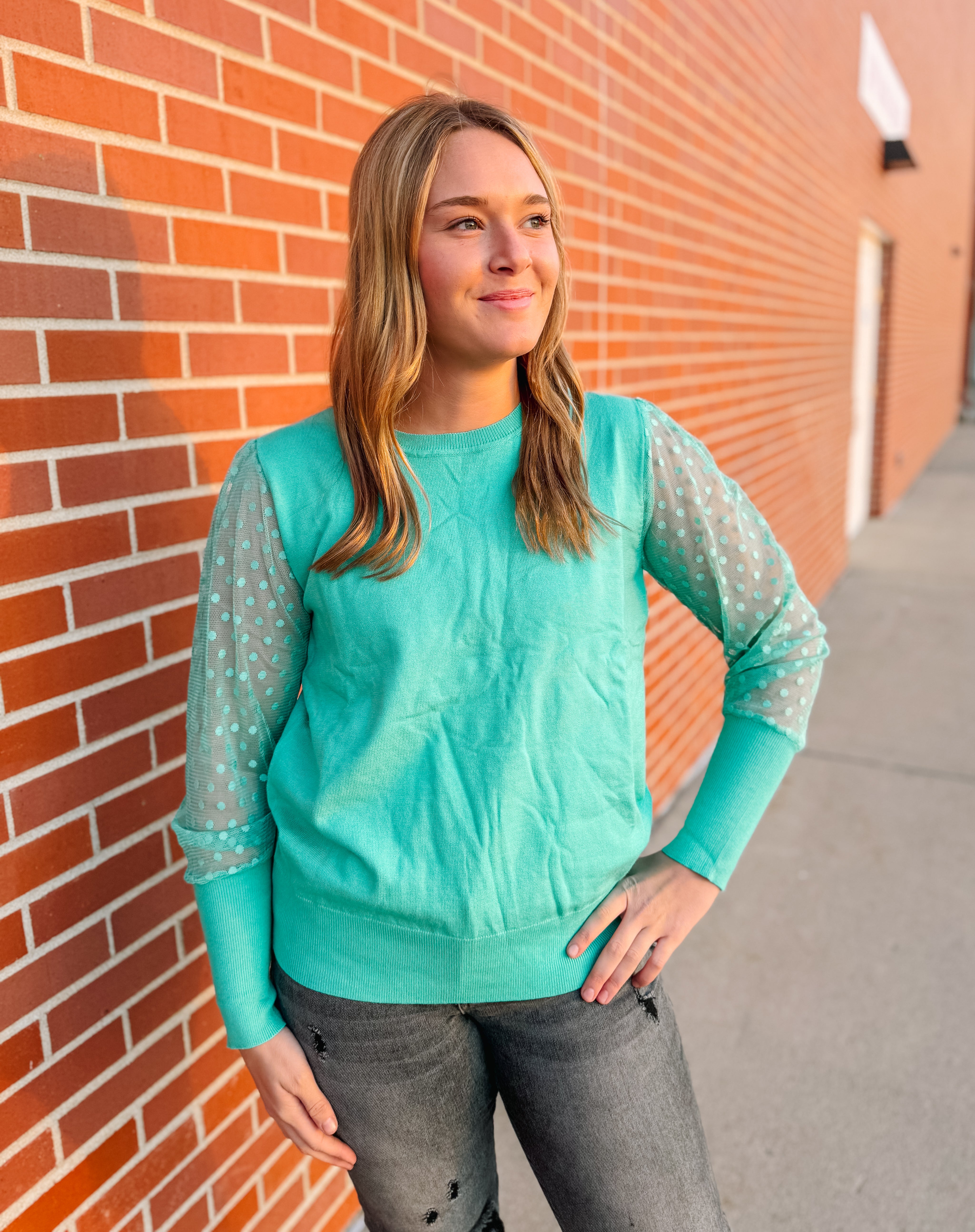 Sea green dotted mesh puff sleeve top