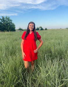 Red V Neck Textured Dress