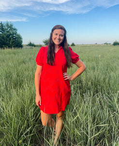 Red V Neck Textured Dress