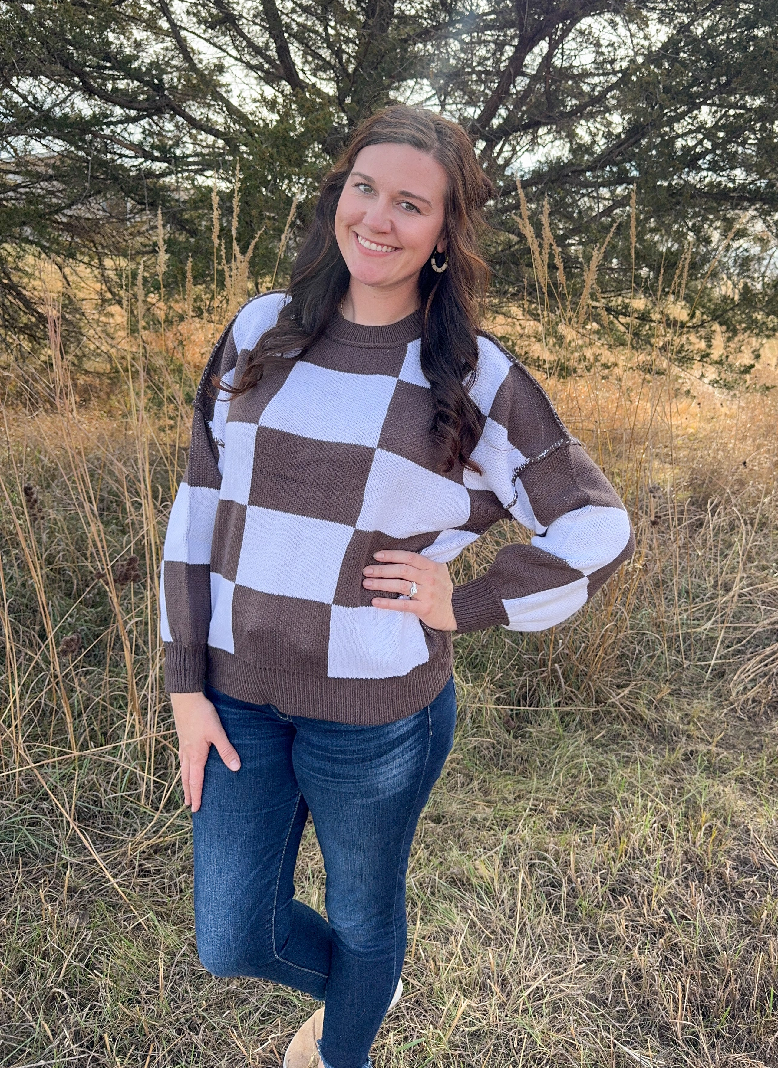 Dark Brown Checkered Sweater