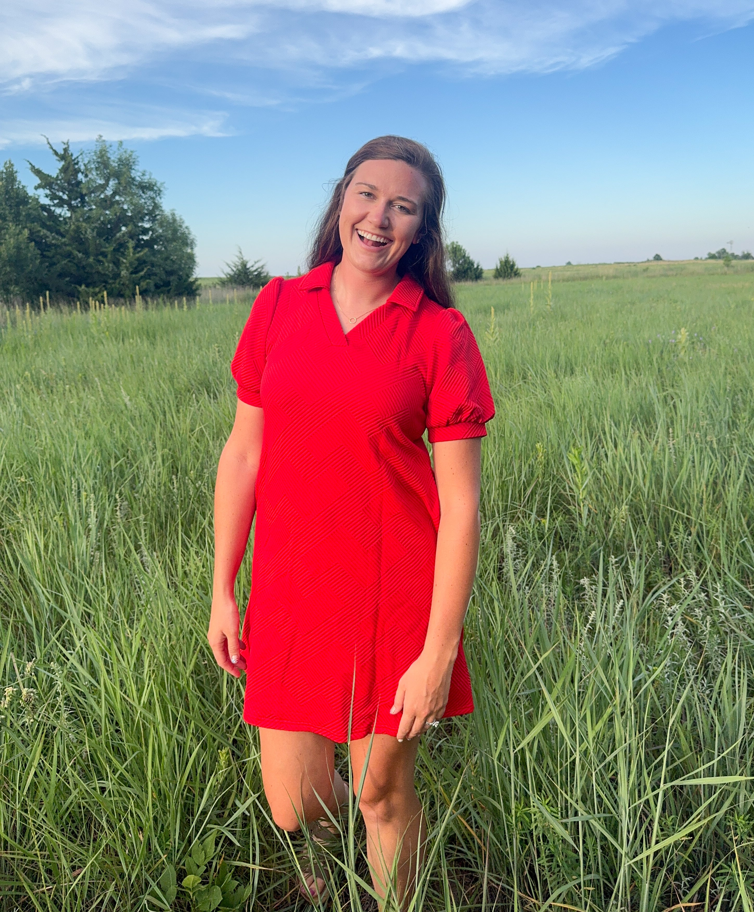 Red V Neck Textured Dress
