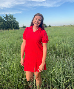 Red V Neck Textured Dress