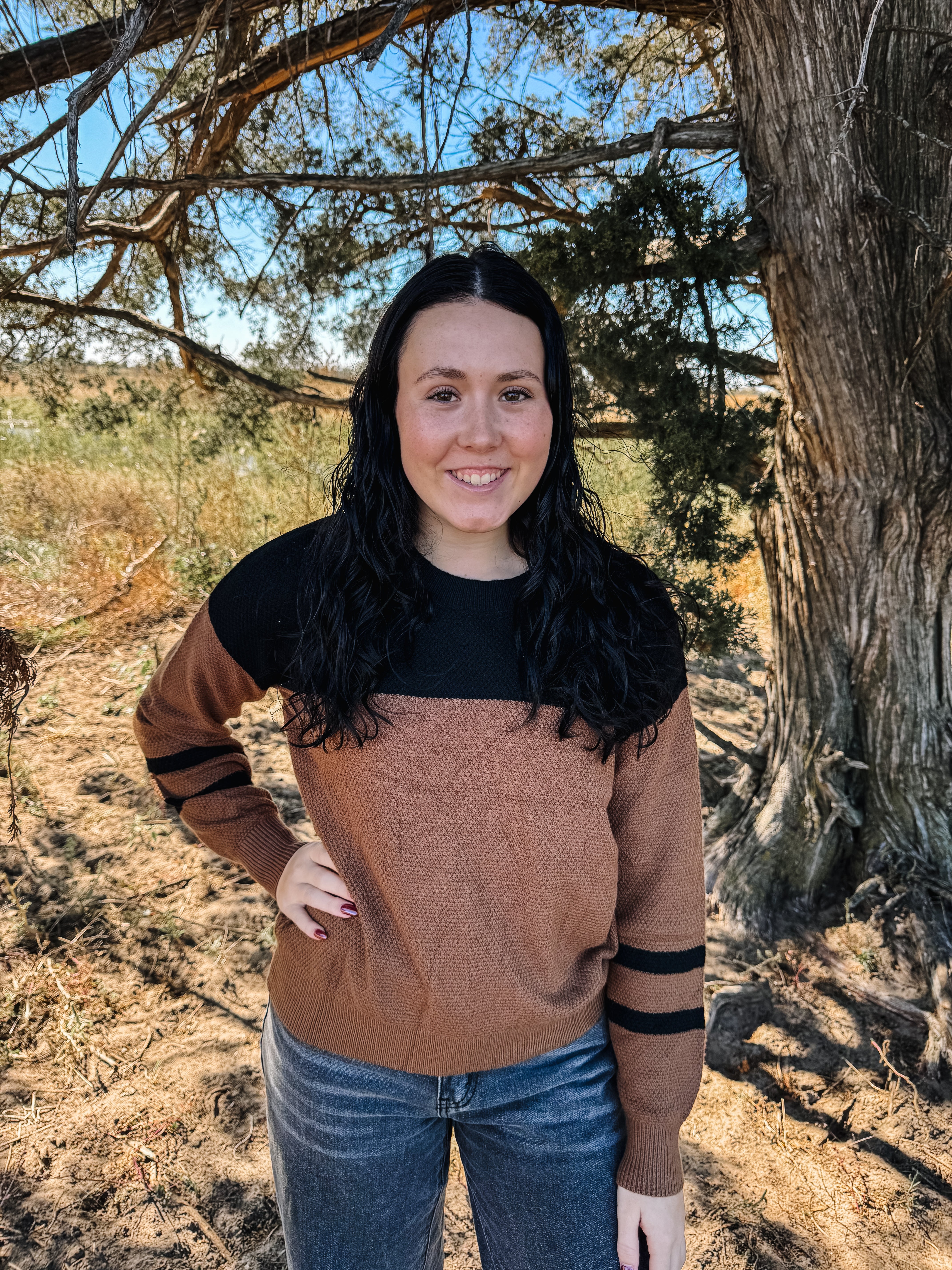Dark Brown Colorblock Striped Sleeve Detail Sweater